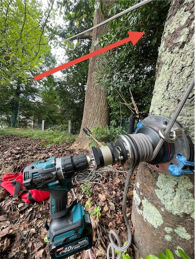 f:id:sundaytreeclimber:20251005220359j:image