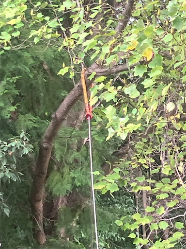 f:id:sundaytreeclimber:20251005220409j:image