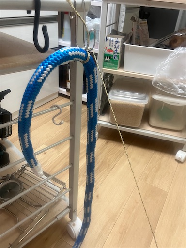 f:id:sundaytreeclimber:20251202190604j:image