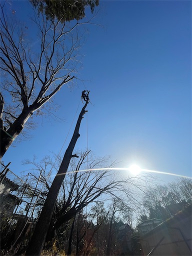 f:id:sundaytreeclimber:20260131204654j:image