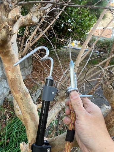 f:id:sundaytreeclimber:20260222203811j:image f:id:sundaytreeclimber:20260222203811j:image