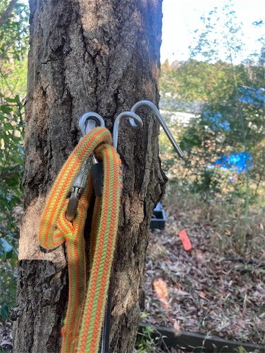 f:id:sundaytreeclimber:20260302160701j:image