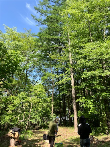 f:id:sundaytreeclimber:20260518223012j:image