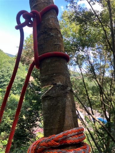 f:id:sundaytreeclimber:20260621185825j:image
