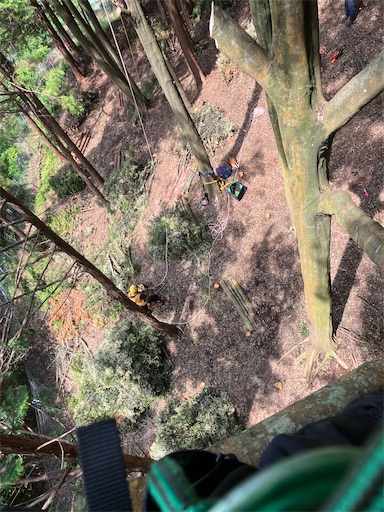 f:id:sundaytreeclimber:20260621185901j:image