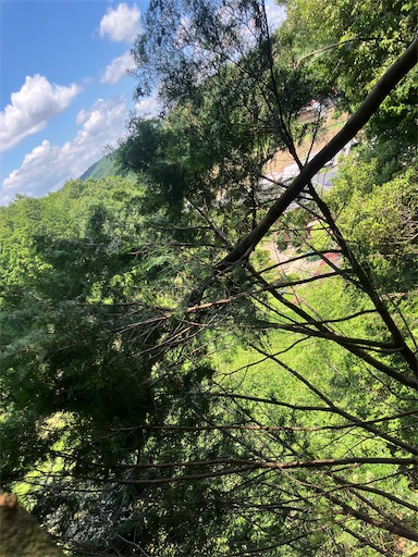 f:id:sundaytreeclimber:20260621185903j:image