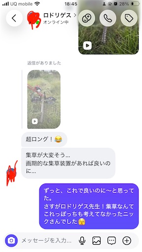 f:id:sundaytreeclimber:20260702185015j:image