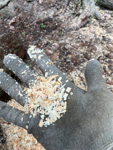 f:id:sundaytreeclimber:20260718202703j:image