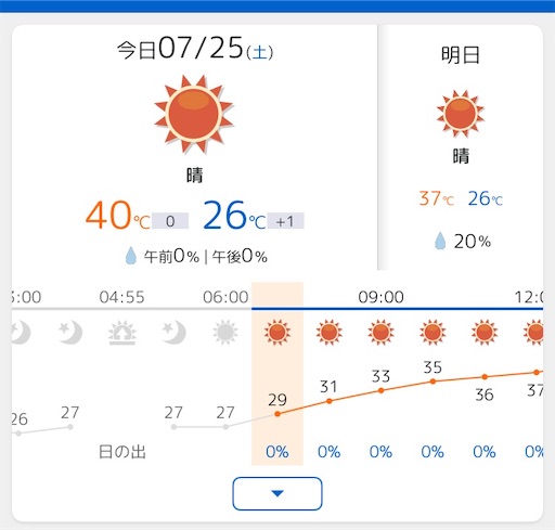 f:id:sundaytreeclimber:20260726220330j:image