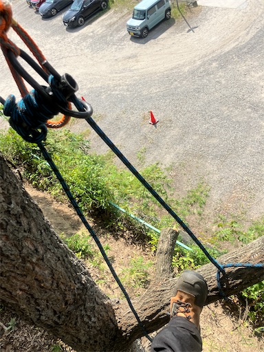 f:id:sundaytreeclimber:20260824105649j:image