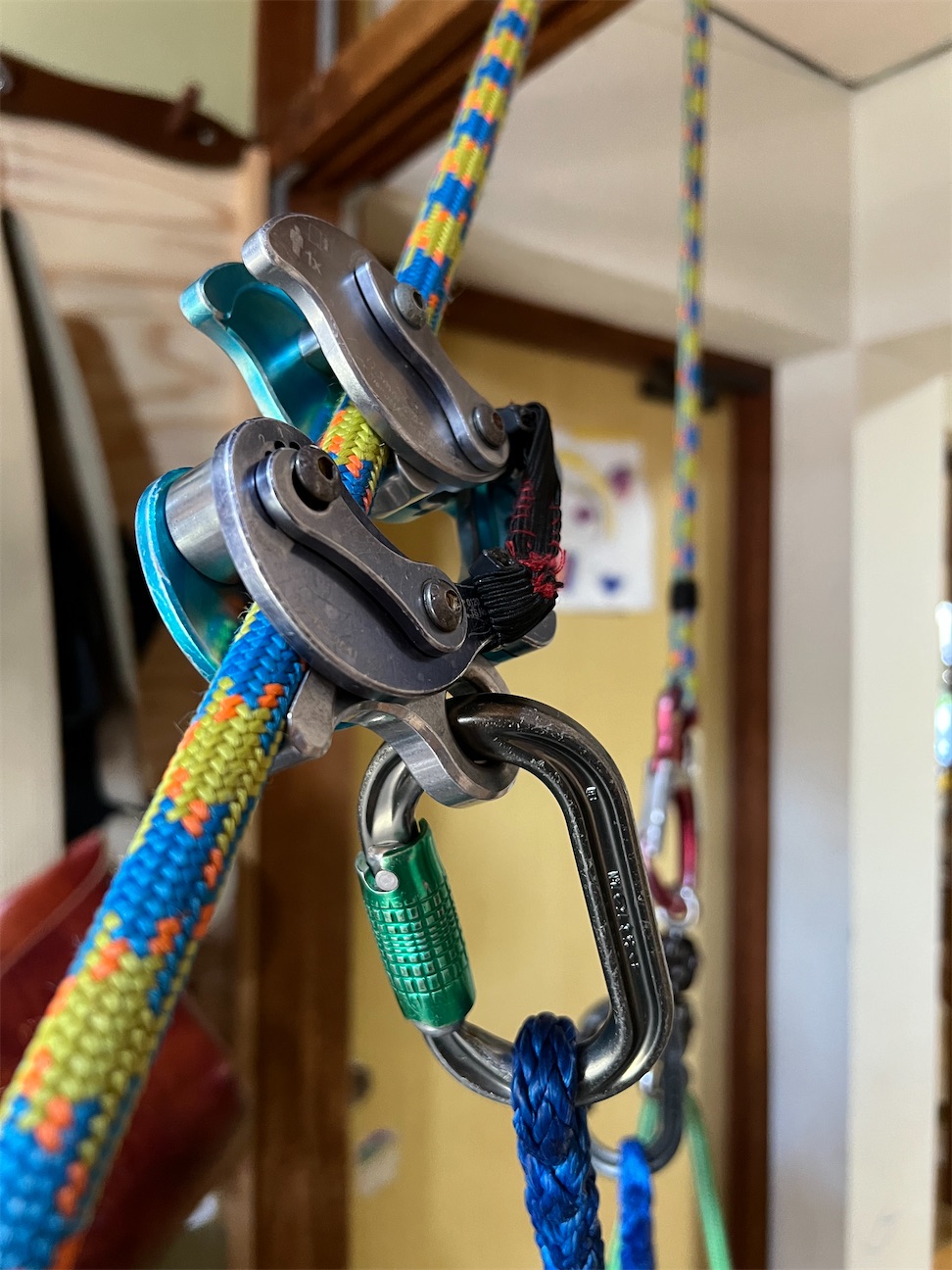 f:id:sundaytreeclimber:20260923155414j:image