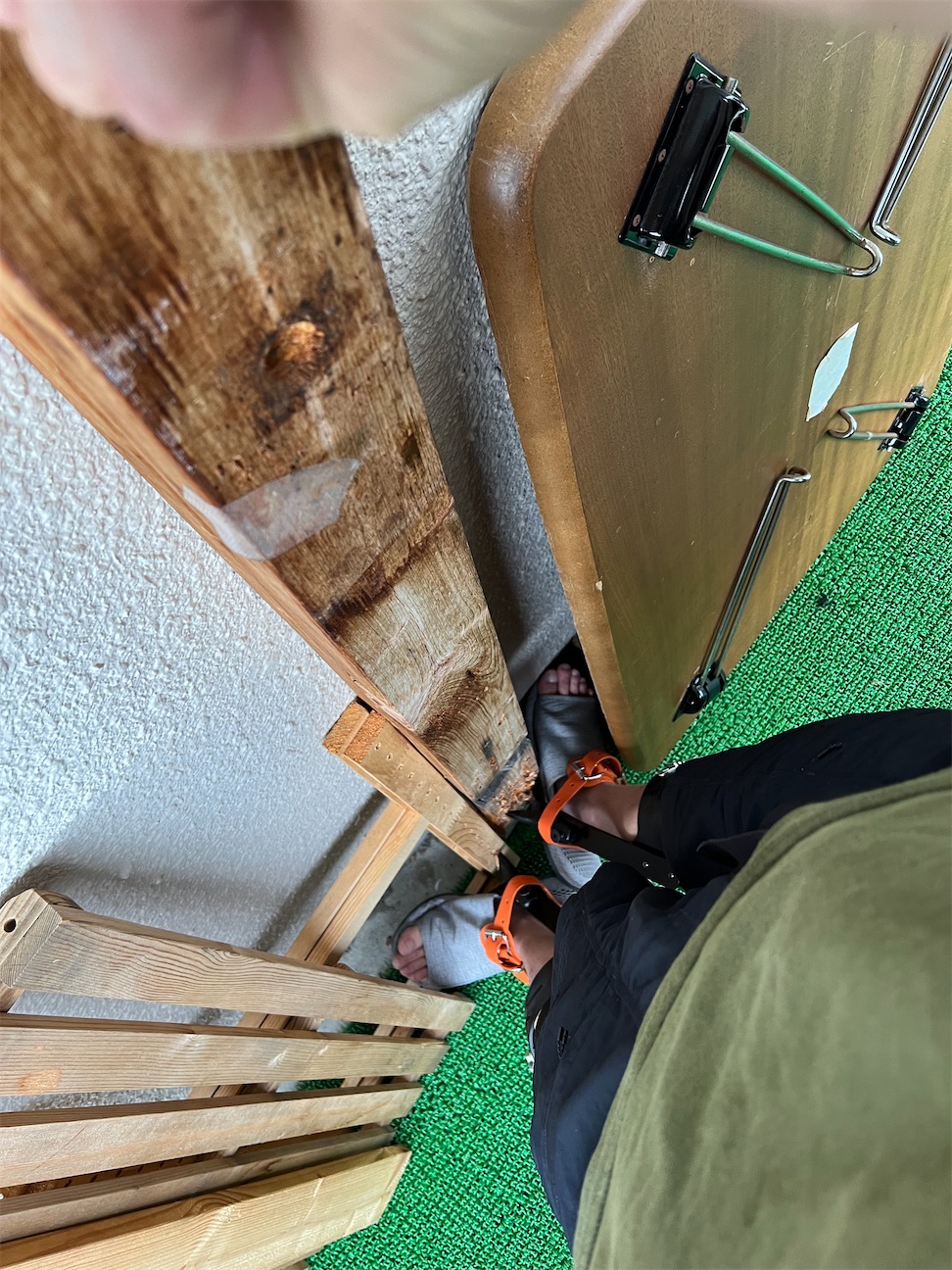 f:id:sundaytreeclimber:20260928111751j:image f:id:sundaytreeclimber:20260928111751j:image