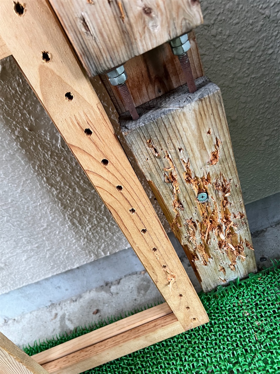 f:id:sundaytreeclimber:20260928111752j:image f:id:sundaytreeclimber:20260928111752j:image