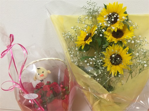 f:id:sundolphin171:20170514100250j:image f:id:sundolphin171:20170514100250j:image