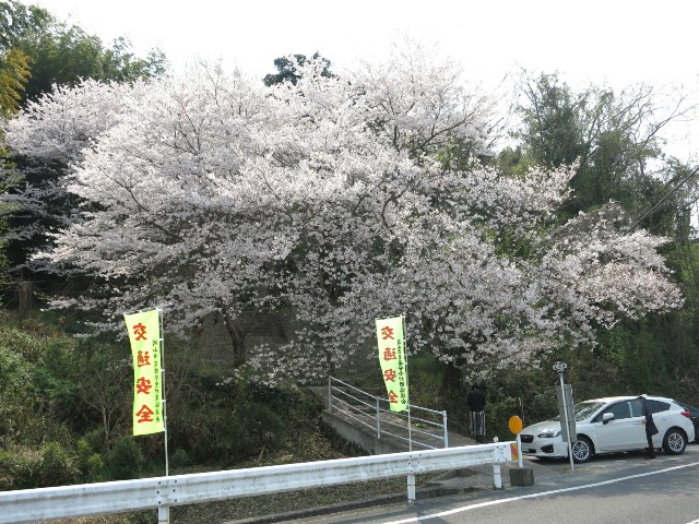 f:id:sunetsumuri:20190407164741j:image
