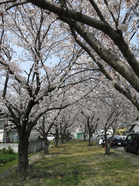 f:id:sunetsumuri:20190407165055j:image