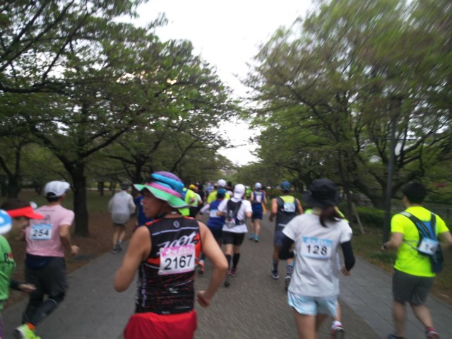 f:id:sunetsumuri:20190501094230j:image