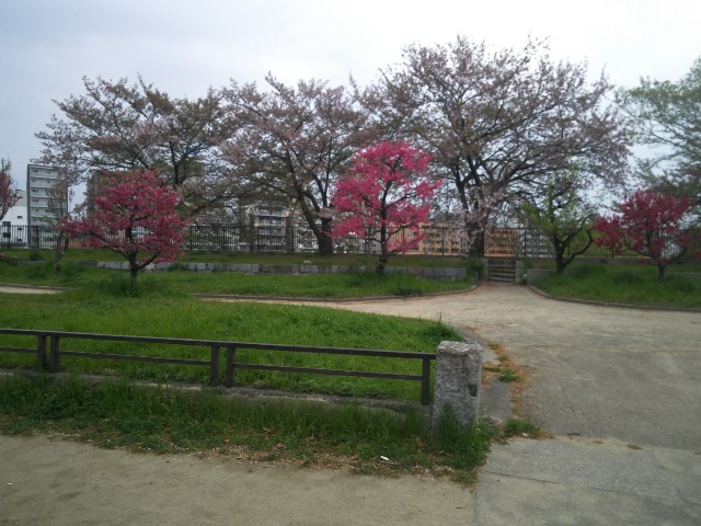 f:id:sunetsumuri:20190501094443j:image