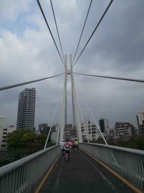 f:id:sunetsumuri:20190501094916j:image