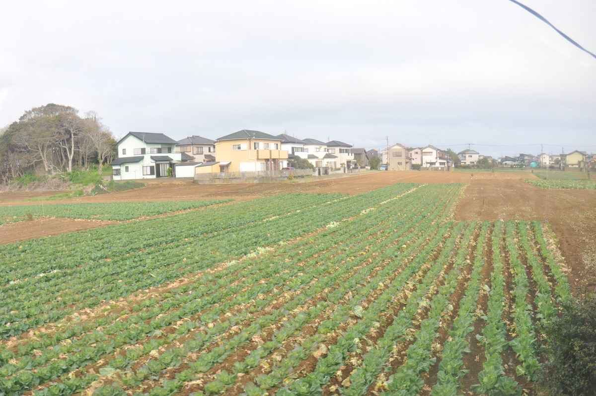 f:id:sunetsumuri:20200412155137j:plain