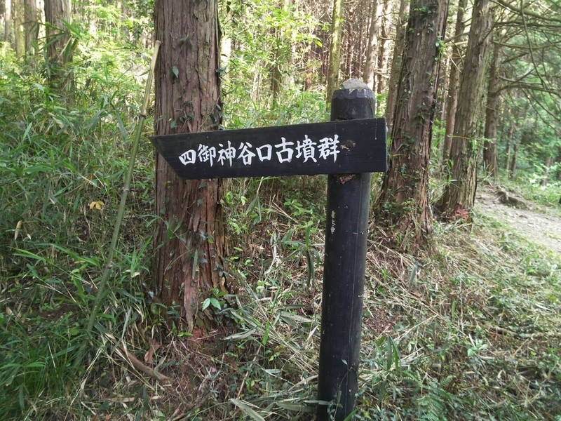 f:id:sunetsumuri:20200525100708j:plain