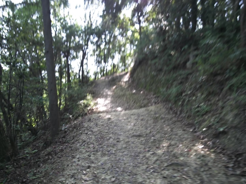 f:id:sunetsumuri:20200607173502j:plain