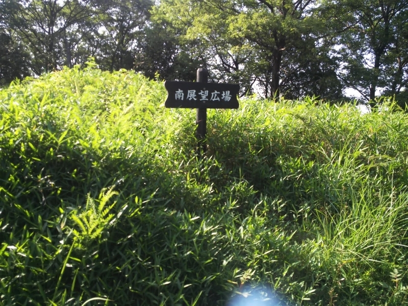 f:id:sunetsumuri:20200607173520j:plain
