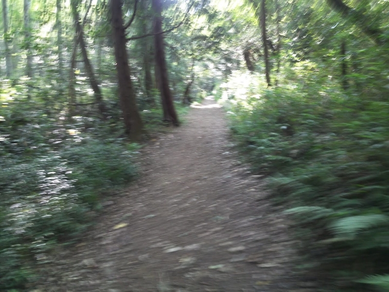 f:id:sunetsumuri:20200607173543j:plain