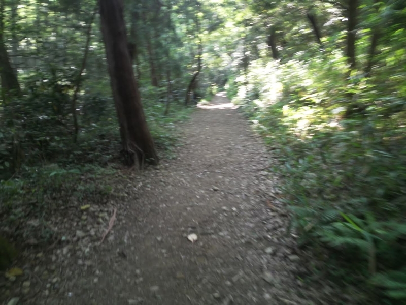 f:id:sunetsumuri:20200607173549j:plain