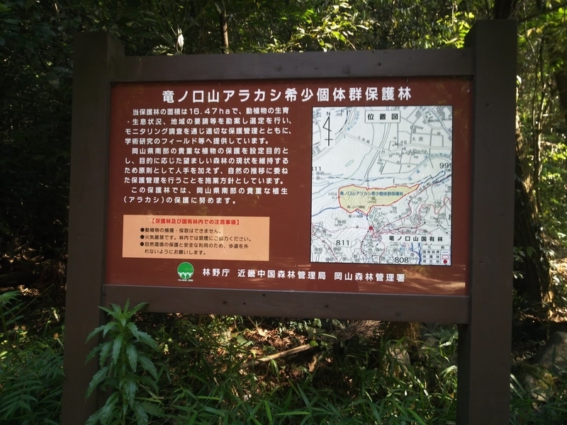 f:id:sunetsumuri:20200607173603j:plain