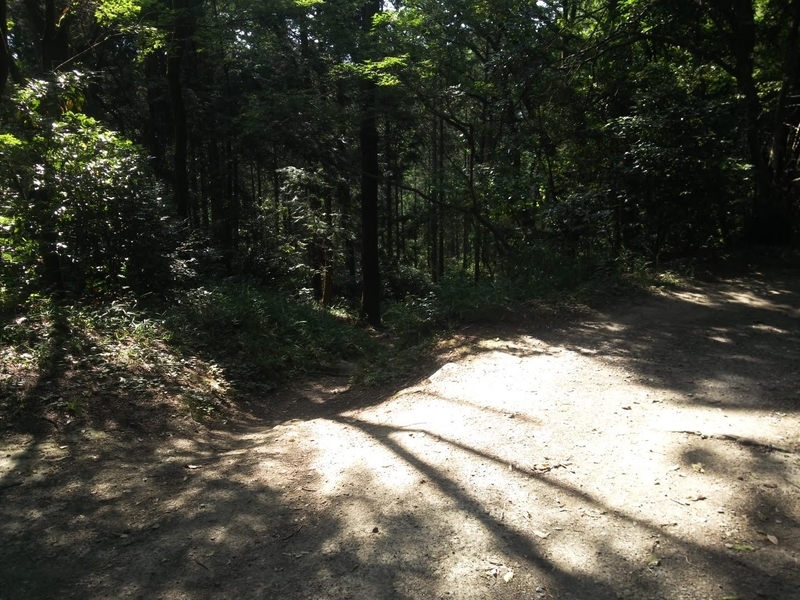 f:id:sunetsumuri:20200607173613j:plain