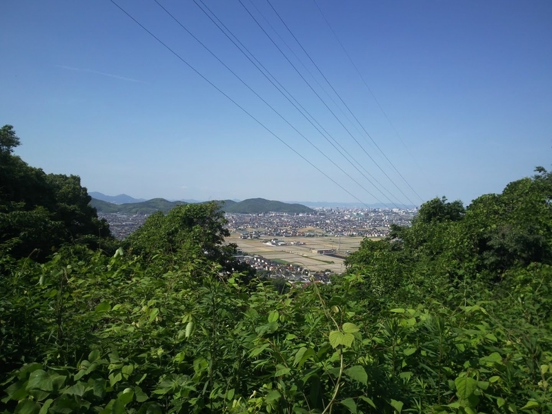 f:id:sunetsumuri:20200607173722j:plain