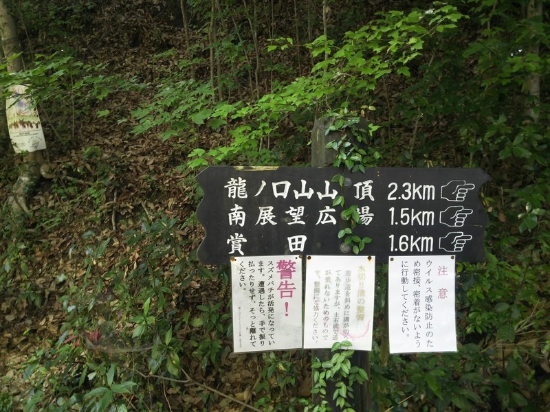 f:id:sunetsumuri:20200607173826j:plain