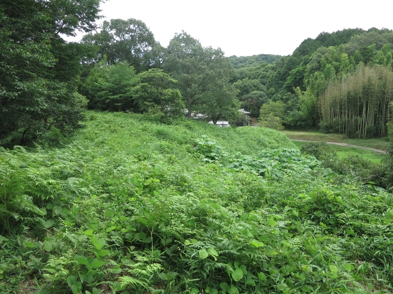 f:id:sunetsumuri:20200712205517j:plain