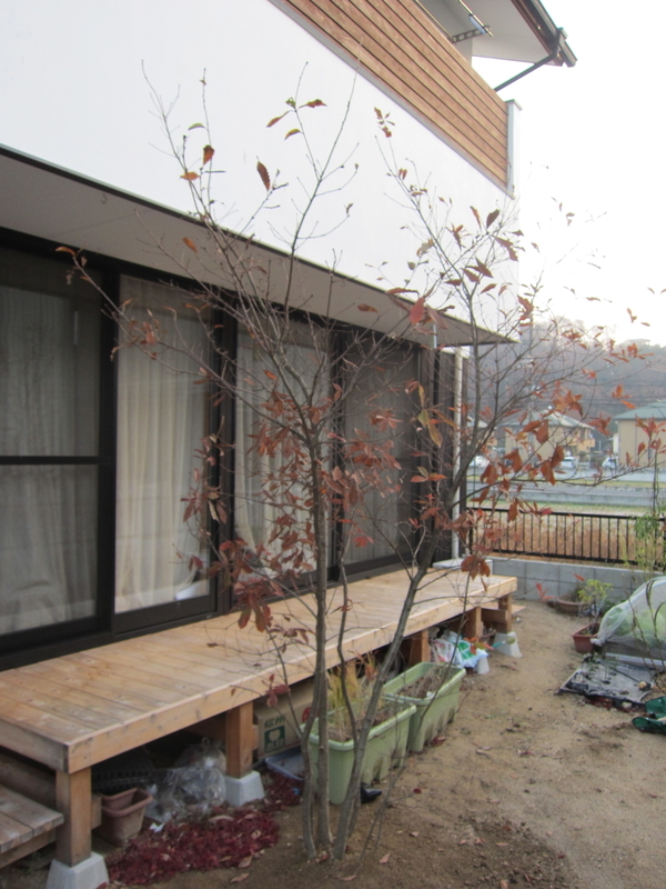 f:id:sunetsumuri:20200719225846j:plain
