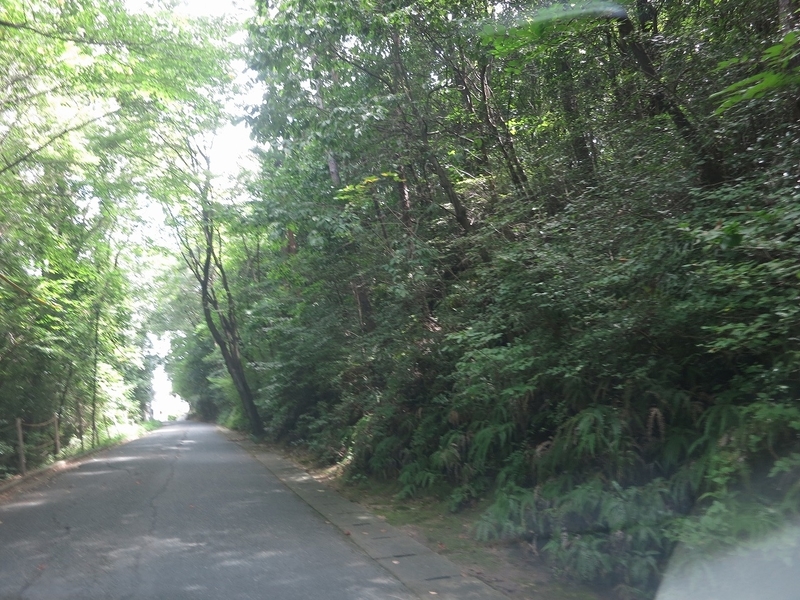 f:id:sunetsumuri:20200811171133j:plain