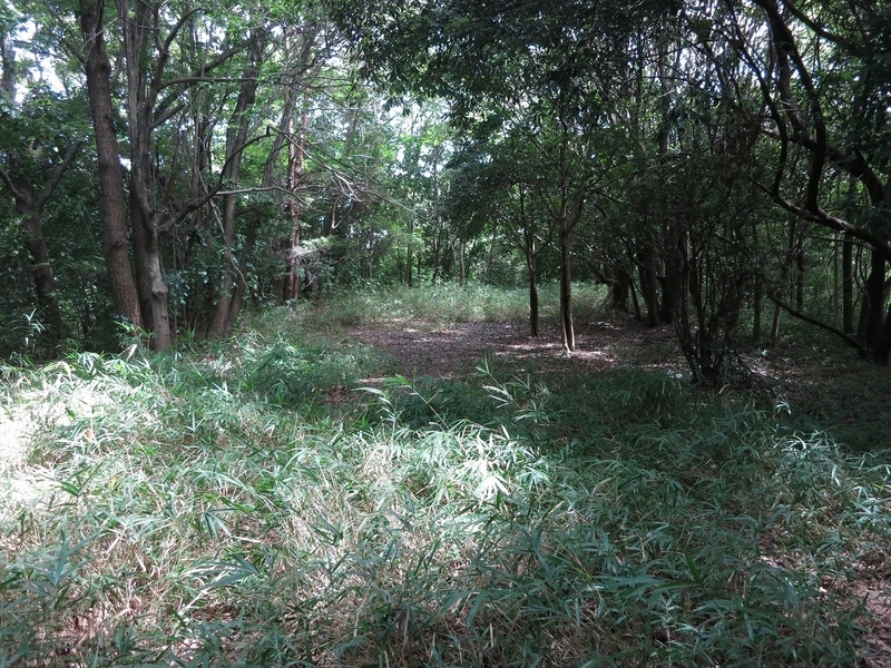 f:id:sunetsumuri:20200811171148j:plain
