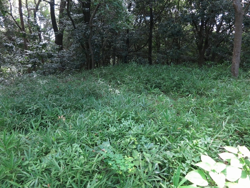 f:id:sunetsumuri:20200811171209j:plain