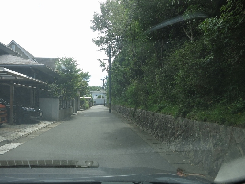 f:id:sunetsumuri:20200811171248j:plain