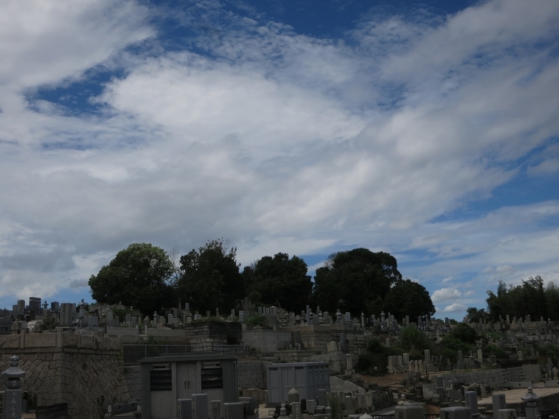 f:id:sunetsumuri:20200811174002j:plain