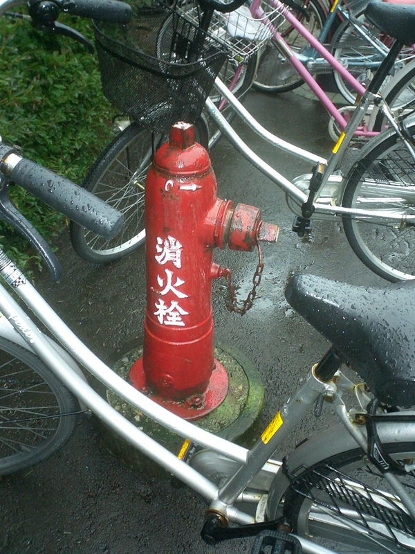 f:id:sunetsumuri:20200812214036j:plain