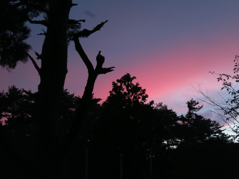 f:id:sunetsumuri:20200921114148j:plain