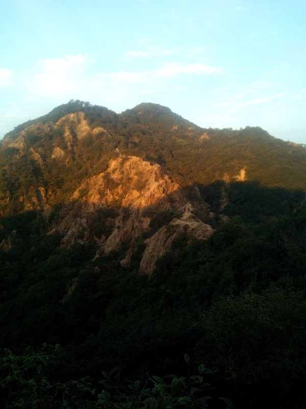f:id:sunetsumuri:20201027171022j:plain