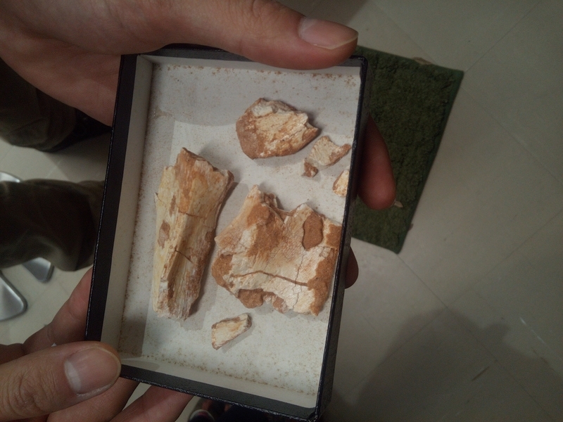 f:id:sunetsumuri:20201124054804j:plain