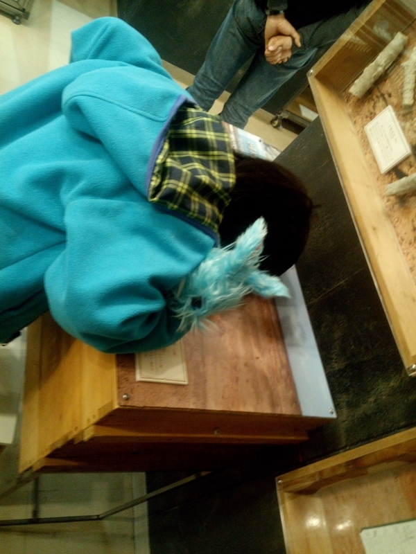 f:id:sunetsumuri:20201124054832j:plain