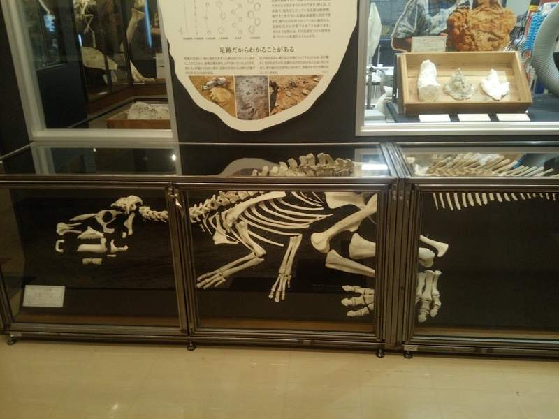 f:id:sunetsumuri:20201124054840j:plain