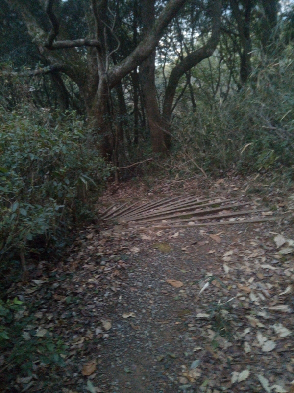 f:id:sunetsumuri:20210202221831j:plain