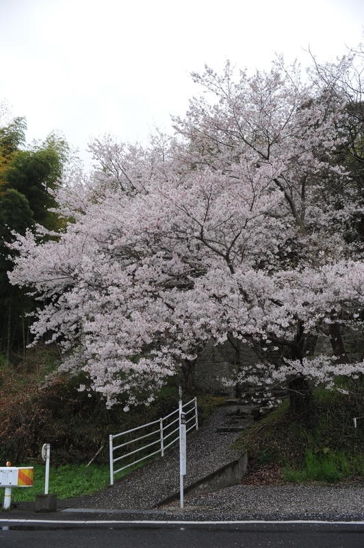 f:id:sunetsumuri:20210329060304j:plain