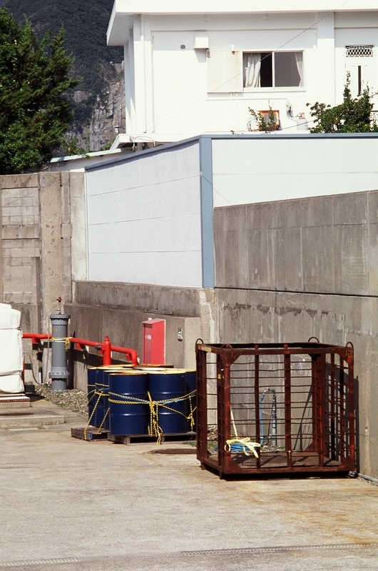 帰ってきた月にいる犬