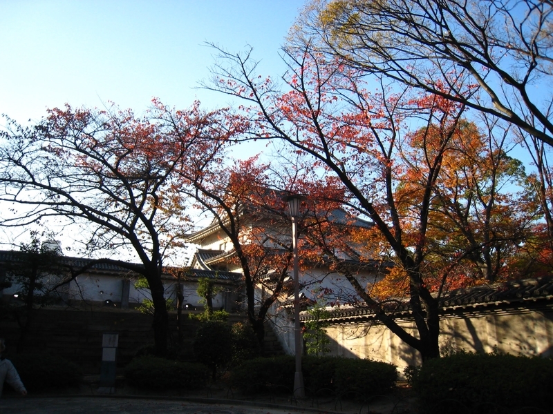 f:id:sunetsumuri:20211129133429j:plain